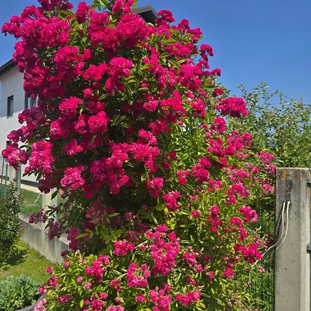 Villa Mirsada Sarajevo