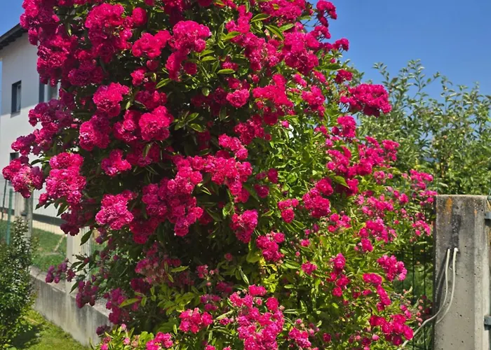 Villa Mirsada Sarajevo